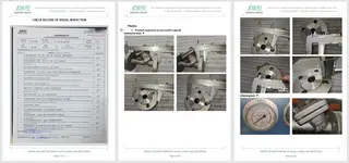 WCB Strainer Inspection Report