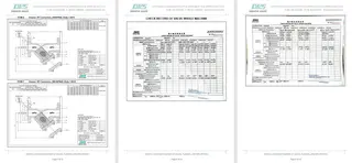Inspection Report for Y Strainer