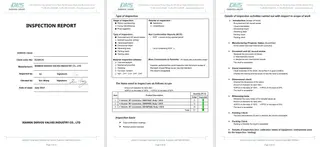 Inspection Report for Y Type Strainer