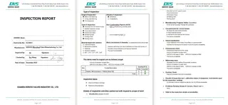 Inspection Report