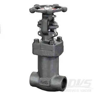 API 602 Bellows Sealed Globe Valve, Forged, Bolted Bonnet