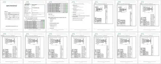 Inspection report