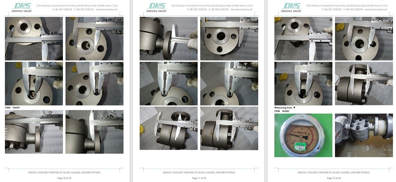 Inspection Report for Steam Trap Valve