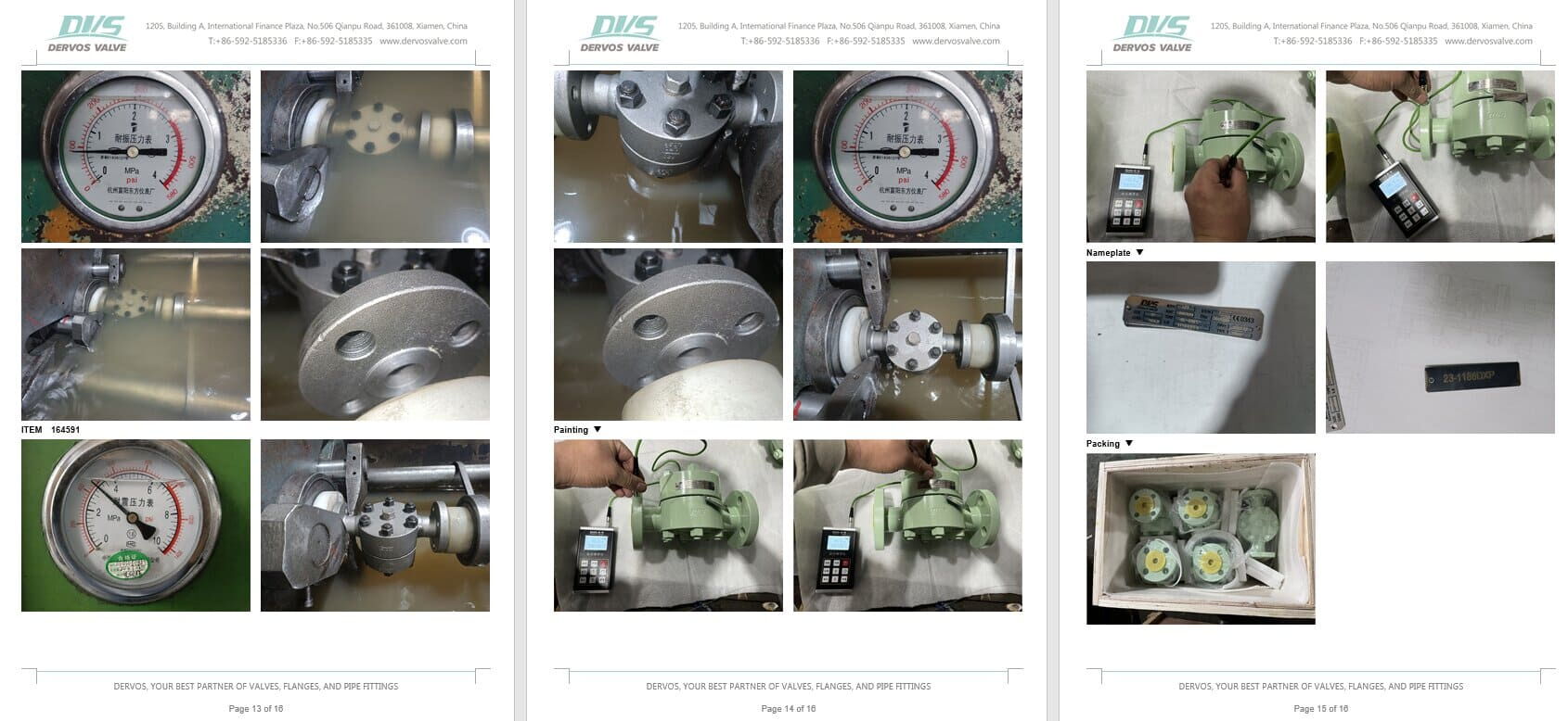 Inspection Report for Steam Trap Valve