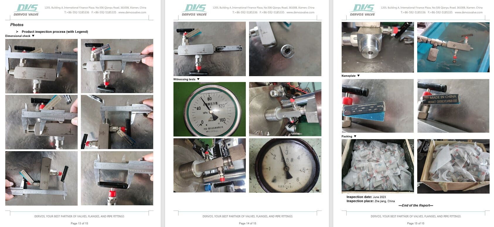 Inspection Report for Needle Valve