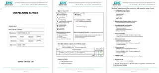 Inspection Report for Change Over Valve