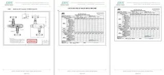 Inspection Report for Needle Valve