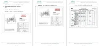 Inspection Report for Steam Trap Valve