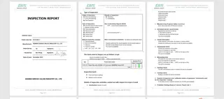 Inspection report