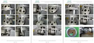 Inspection Report for Steam Trap Valve