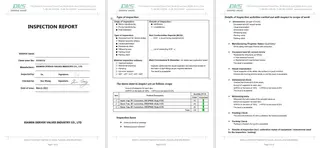Inspection Report for Bimetal Steam Trap Valve