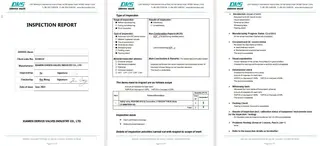 Inspection Report