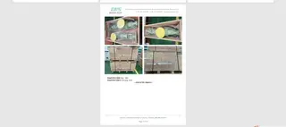 Inspection report