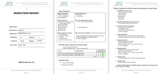 Inspection Report for Steam Trap Valve