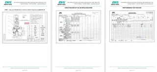 Inspection Report