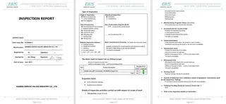 Inspection Report for Needle Valve