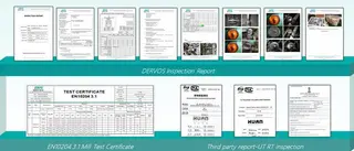 Kelly Inspection Report