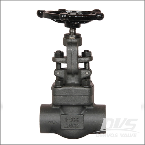 Common Connections of Forged Steel Valves common-connections-of-forged-steel-valves-sw.jpg