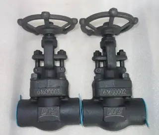 Different Types of Valve End Connection