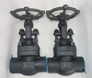 welded end forged gate valves