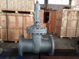 Nuclear power gate valve - part 2