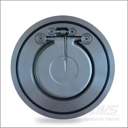 The installation position of a forged steel check valve
