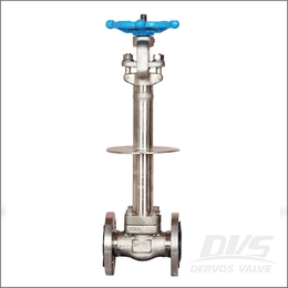 The design, installation and inspection of cryogenic valves