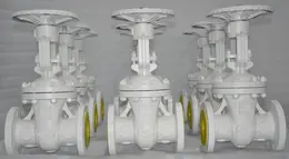 Latest DIN gate valves, globe valves, check valves from Forge