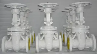 Latest DIN gate valves, globe valves, check valves from Forge