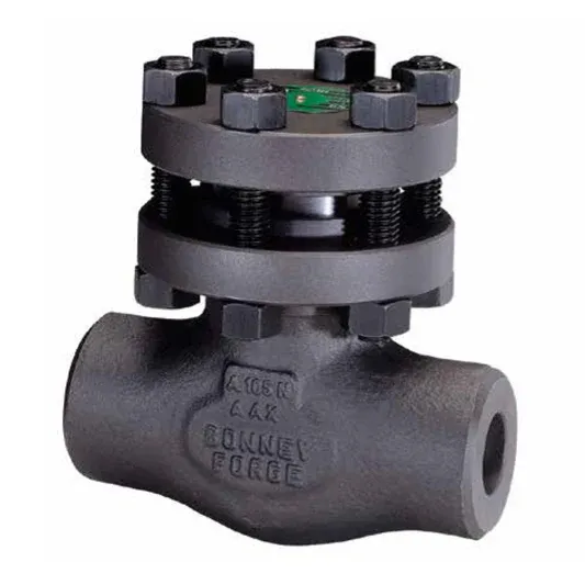 Swing Type Check Valve