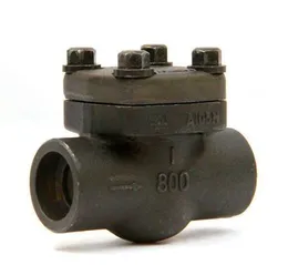 A Brief Introduction of Forged Steel Check Valves
