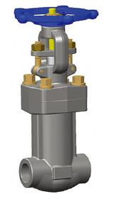 Forged Bellows Sealed Gate Valve, ASTM A105N, Class 800, 1 Inch