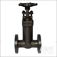 Integral Flanged Bellows Sealed Gate Valve, A105N, Class 150, 1 In