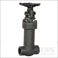 Forged Bellows Sealed Gate Valve, ASTM A105N, Class 800, 1 Inch