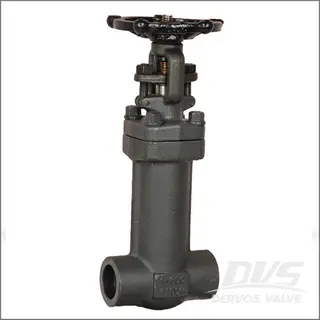 Forged Bellows Sealed Gate Valve, ASTM A105N, Class 800, 1 Inch