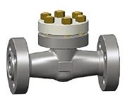 Integral Flanged Piston Check Valve, ASTM A105N, 1 Inch, Class 1500