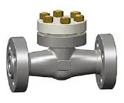 Integral Flanged Piston Check Valve, ASTM A105N, 1 Inch, Class 1500