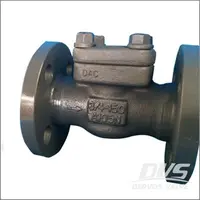 Integral Flanged Swing Check Valve, ASTM A105N, 3/4 Inch, Class 150