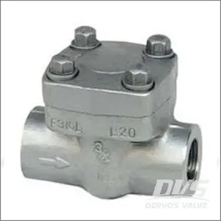 Reverse Swing Check Valve, A182 F316, 3/4 Inch, NPT, Single Plate