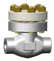 Bolted Bonnet A105N Check Valve, CL2500, 1 Inch, Socket/Butt-Welded
