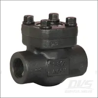Bolted Cover Piston Check Valve, ASTM A105N, Class 800, 1 Inch