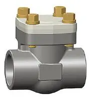 Forged Steel Swing Check Valve, A105N, 1 Inch, Class 800, BS 5352