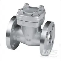 RF Flanged Piston Check Valve, ASTM A182 F304, CL150, Bolted Bonnet