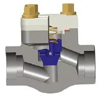 Bolted Cover Piston Check Valve, ASTM A105N, Class 800, 1 Inch