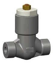 Pressure-Seal Bonnet Check Valve, ASTM A105N, 1 Inch, Class 1500