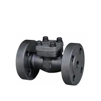 API 602 Check Valves, A105, A105N, A182 F316/F316L, 1/4-4 IN