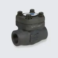 Forged Steel Swing Check Valve, API 602, ASTM A105N, 800 LB