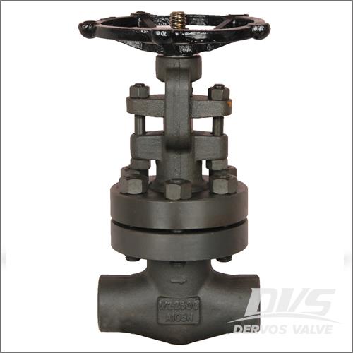 China Forged Steel Gate Valve Manufacturer - Forge