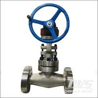 Worm Gear Operated Gate Valve, F316L, 2 Inch, High Pressure