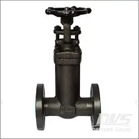 Forged Bellow Seal Gate Valve, A105N, CL150-600 1/2-4 Inch, Flanged